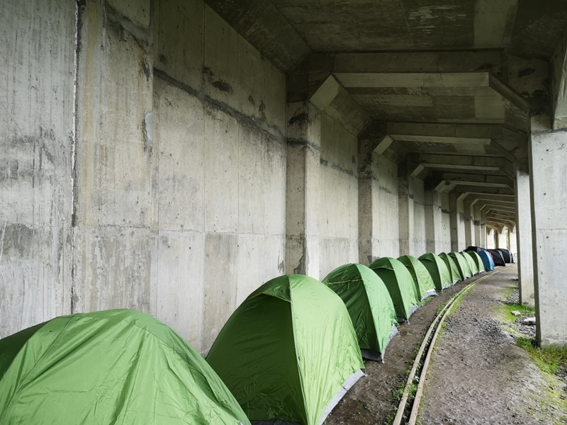 alishan010143 阿里山-從未消失的眠月線 仙境般的存在