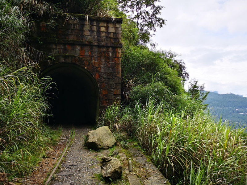 alishan010145 阿里山-從未消失的眠月線 仙境般的存在