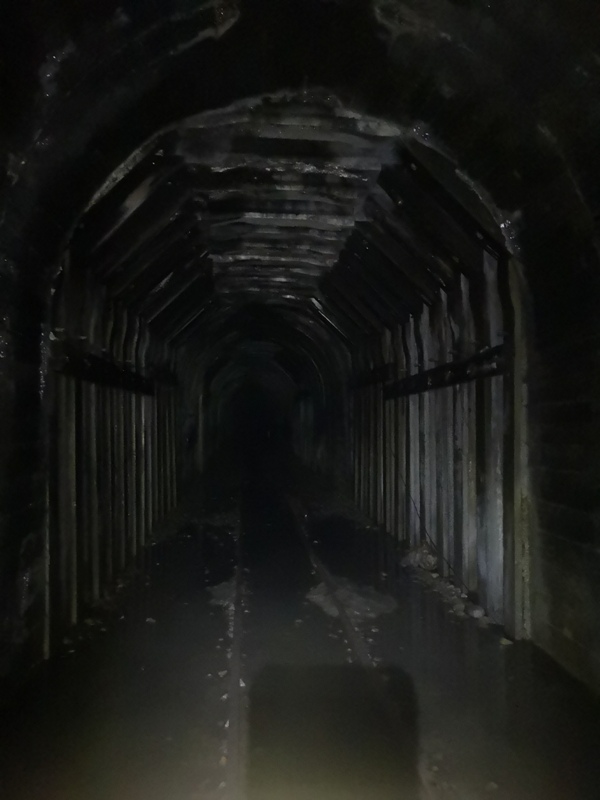 alishan010147 阿里山-從未消失的眠月線 仙境般的存在