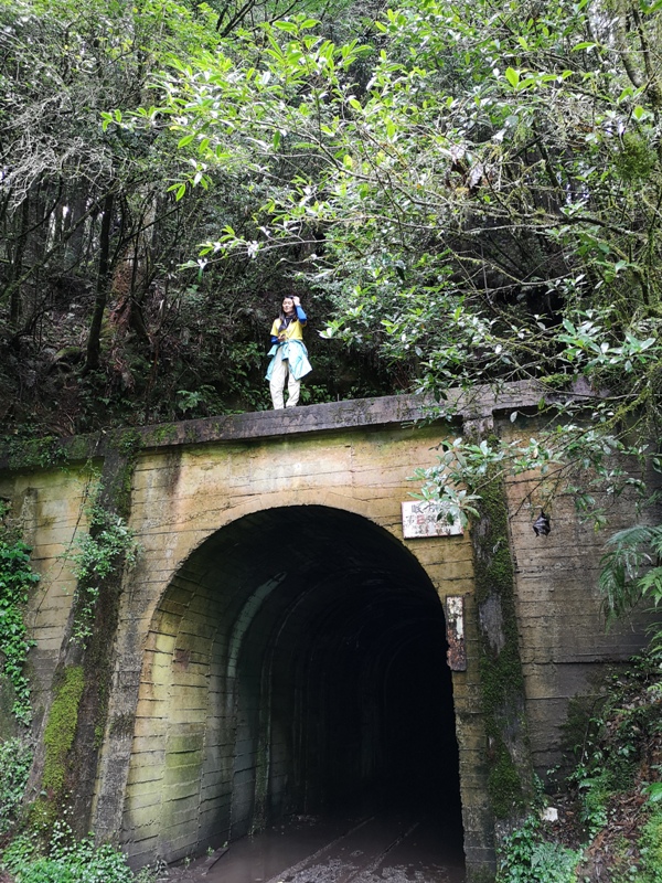 alishan010148 阿里山-從未消失的眠月線 仙境般的存在