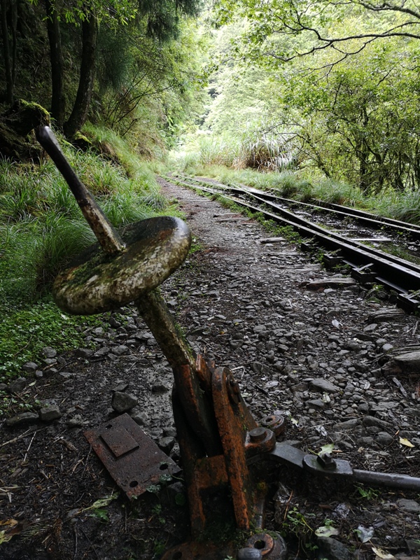 alishan010149 阿里山-從未消失的眠月線 仙境般的存在