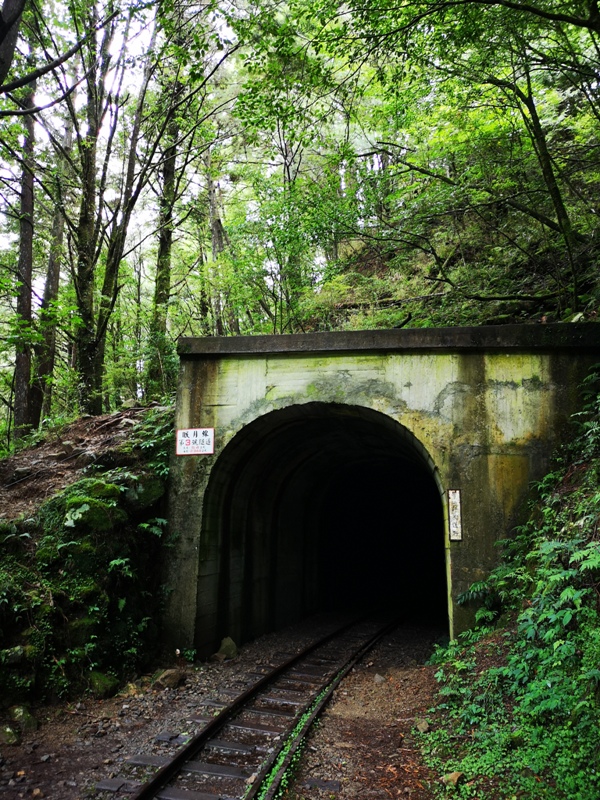 alishan010150 阿里山-從未消失的眠月線 仙境般的存在