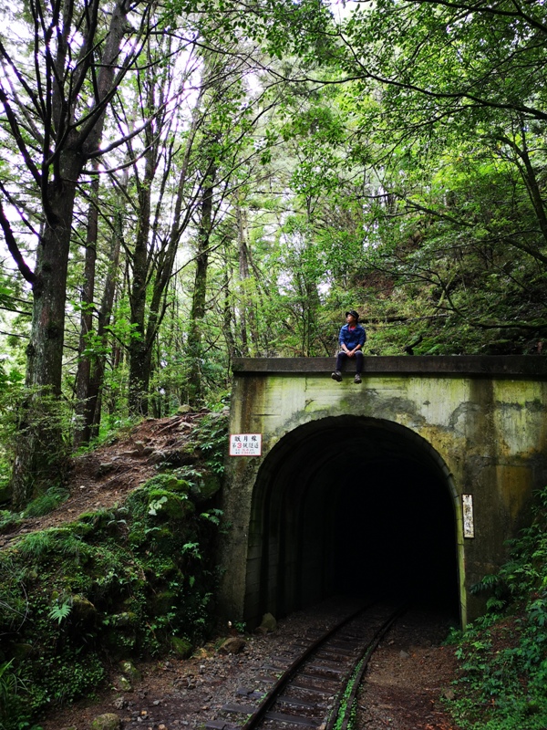 alishan010151 阿里山-從未消失的眠月線 仙境般的存在