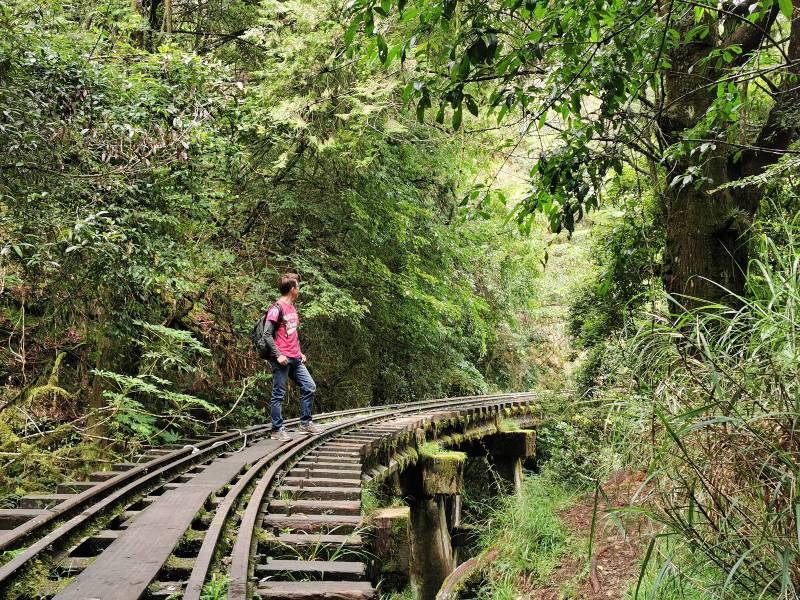 alishan010157 阿里山-從未消失的眠月線 仙境般的存在