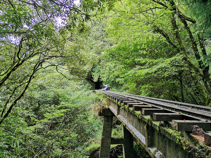 alishan010158 阿里山-從未消失的眠月線 仙境般的存在