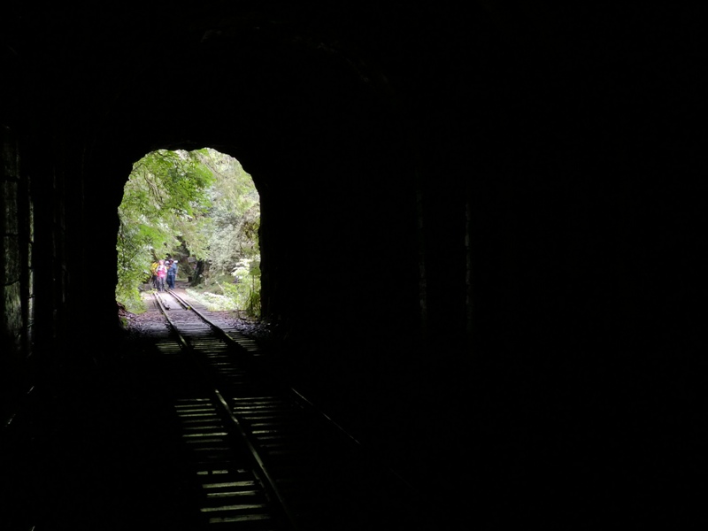 alishan01016001 阿里山-從未消失的眠月線 仙境般的存在