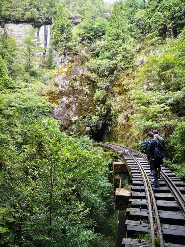 alishan010161 阿里山-從未消失的眠月線 仙境般的存在