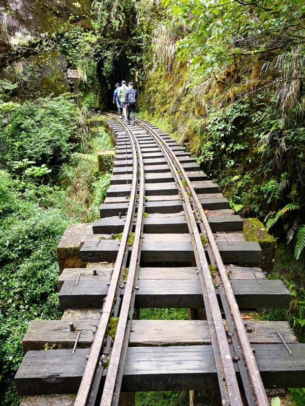 alishan010162 阿里山-從未消失的眠月線 仙境般的存在