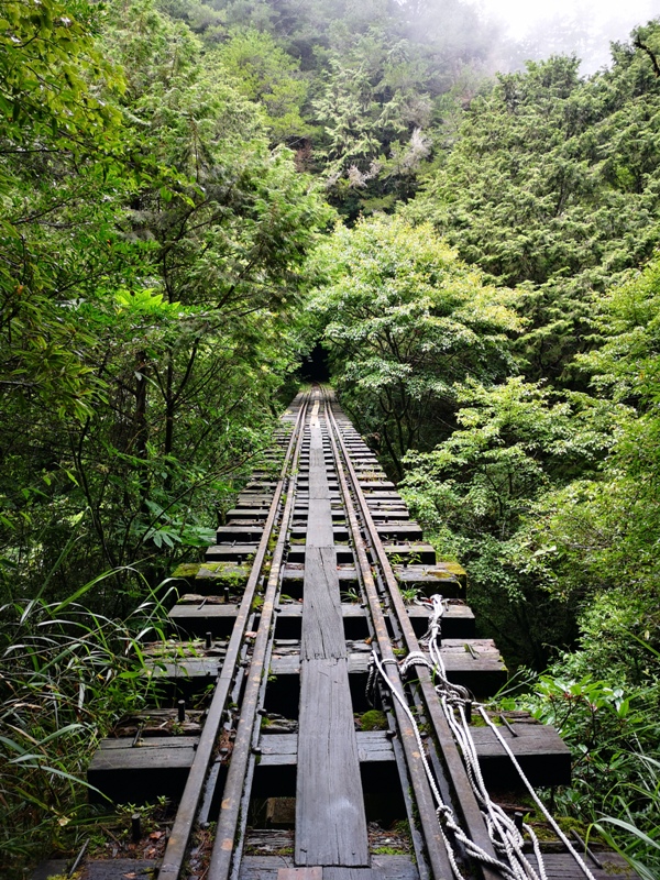 alishan010163 阿里山-從未消失的眠月線 仙境般的存在