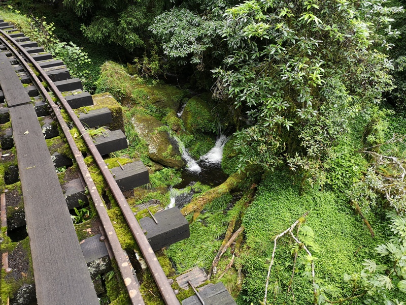 alishan010165 阿里山-從未消失的眠月線 仙境般的存在