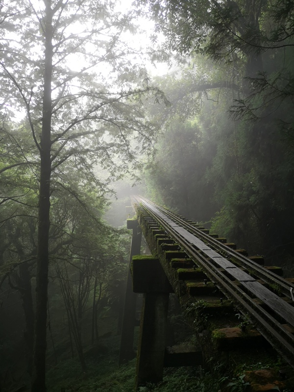 alishan010166 阿里山-從未消失的眠月線 仙境般的存在
