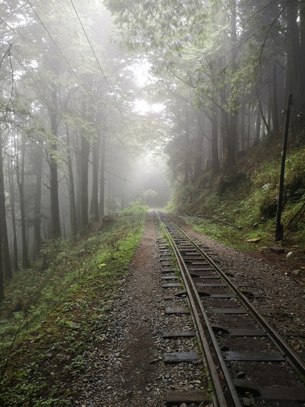 alishan010168 阿里山-從未消失的眠月線 仙境般的存在