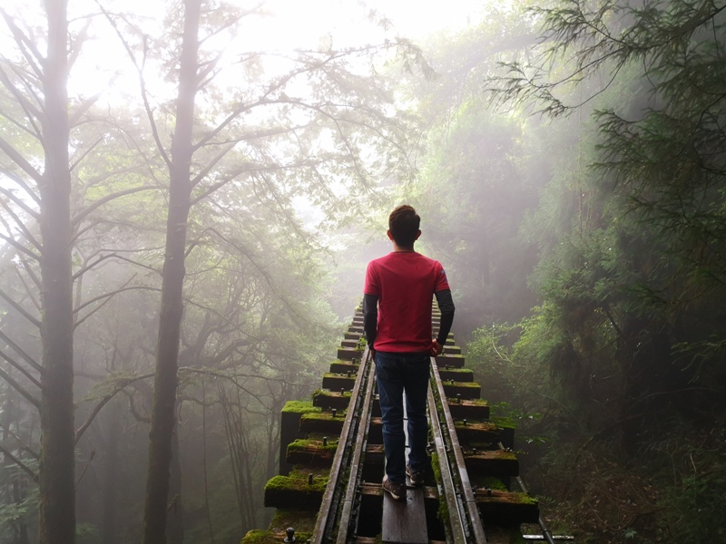 alishan010169 阿里山-從未消失的眠月線 仙境般的存在