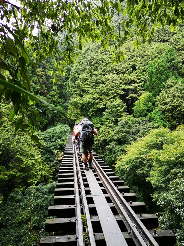 alishan010173 阿里山-從未消失的眠月線 仙境般的存在