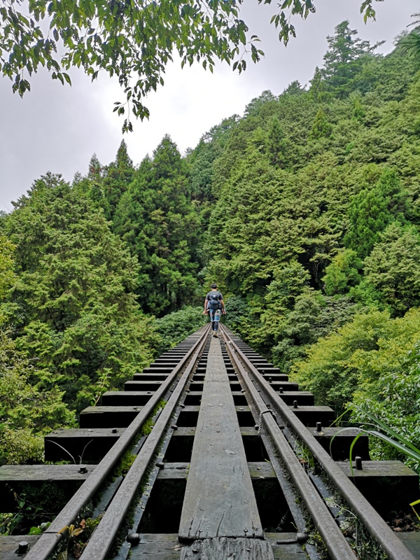 alishan010174 阿里山-從未消失的眠月線 仙境般的存在