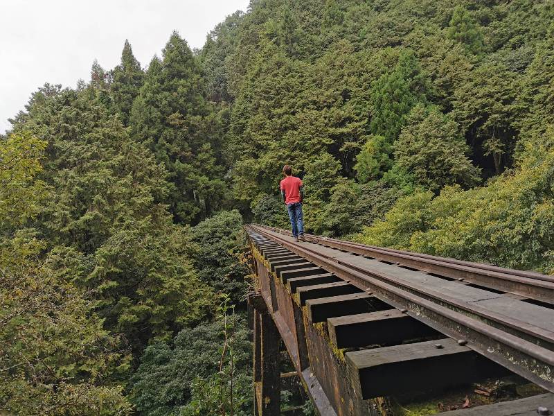 alishan010178 阿里山-從未消失的眠月線 仙境般的存在