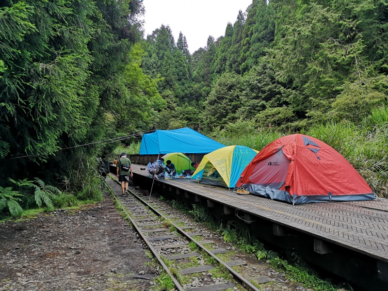 alishan010182 阿里山-從未消失的眠月線 仙境般的存在