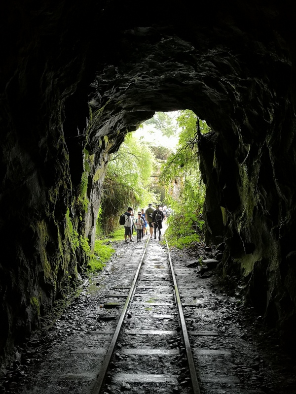 alishan010183 阿里山-從未消失的眠月線 仙境般的存在