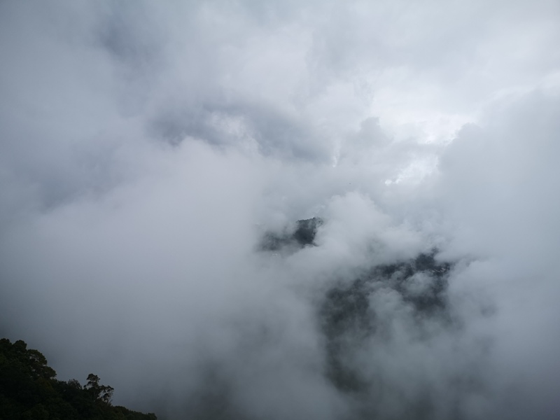 alishan010184 阿里山-從未消失的眠月線 仙境般的存在