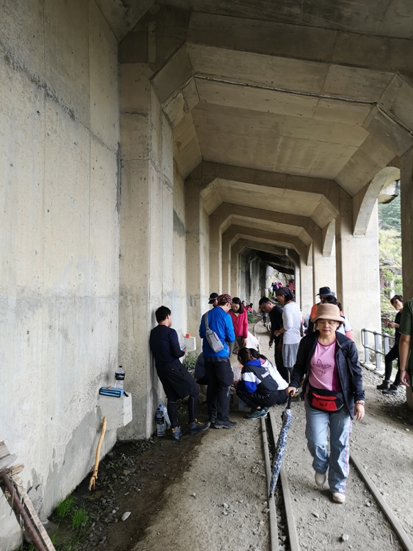 alishan010185 阿里山-從未消失的眠月線 仙境般的存在