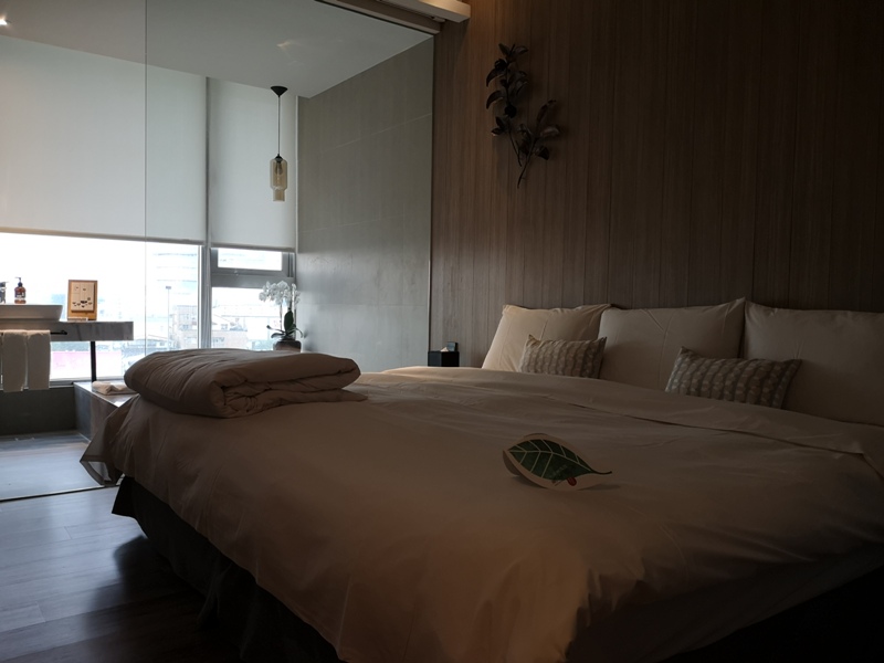 hotelday15 嘉義-桃城茶樣子 最美的飯店 最狼狽的泳池照