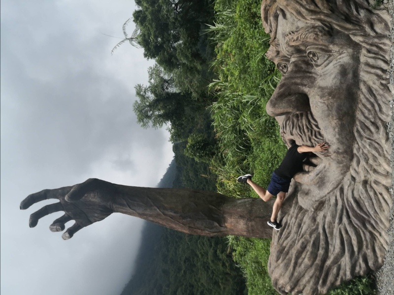 和平-巨人之手 失落的悲傷的遺落在荒野中的巨人