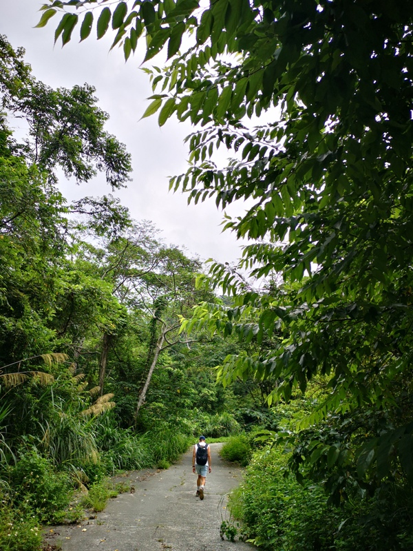 gianthands04 和平-巨人之手 失落的悲傷的遺落在荒野中的巨人