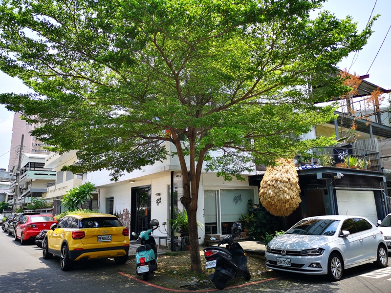 台中西區-Solidbean Coffee Roasters白屋綠樹老屋新味道 來杯手沖吧