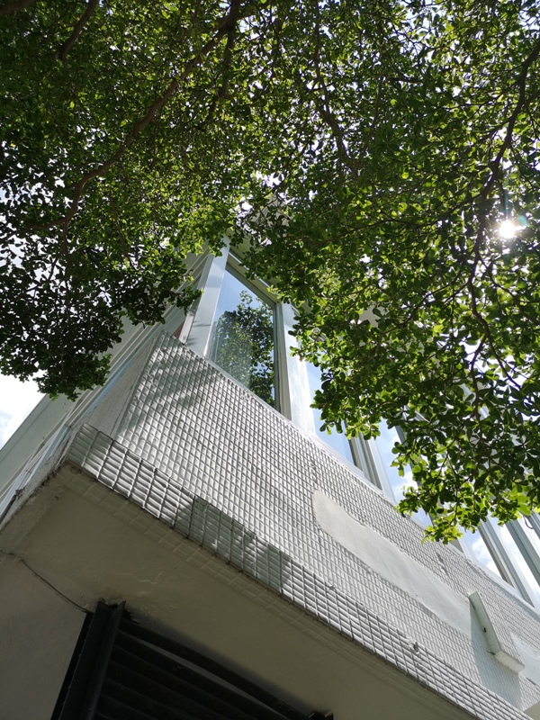 solidbean06 台中西區-Solidbean Coffee Roasters白屋綠樹老屋新味道 來杯手沖吧