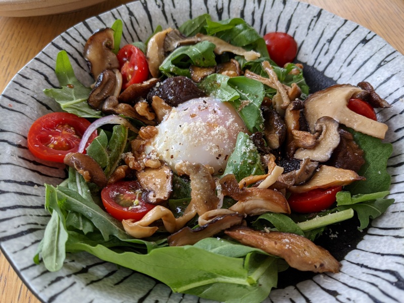 desolatecafe14 魚池-新穎好拍玻璃建築 一點都不蠻荒的蠻荒咖啡