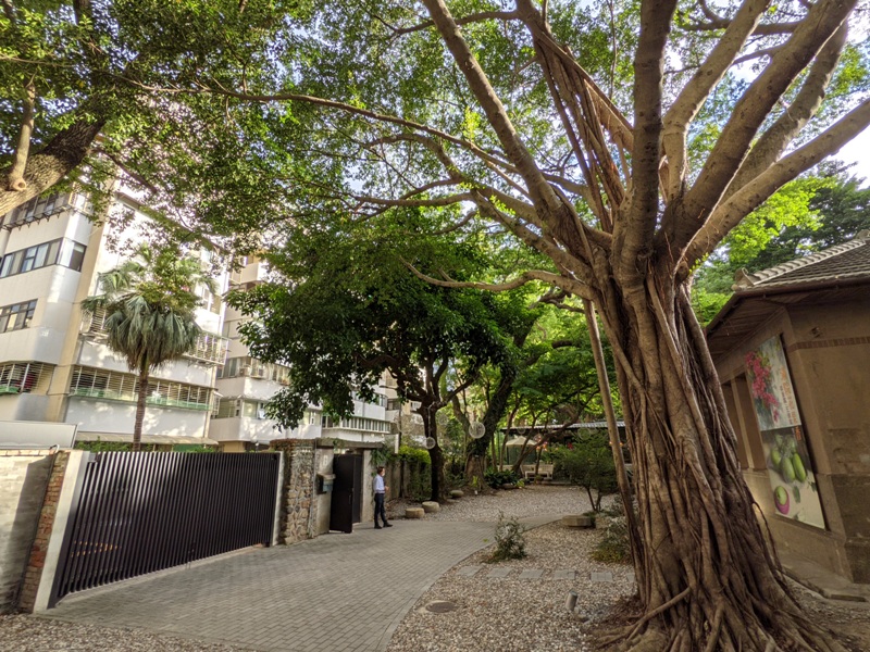 grandcourtyard06 大安-大院子 靜巷老宅總迷人 秋日午後好舒適