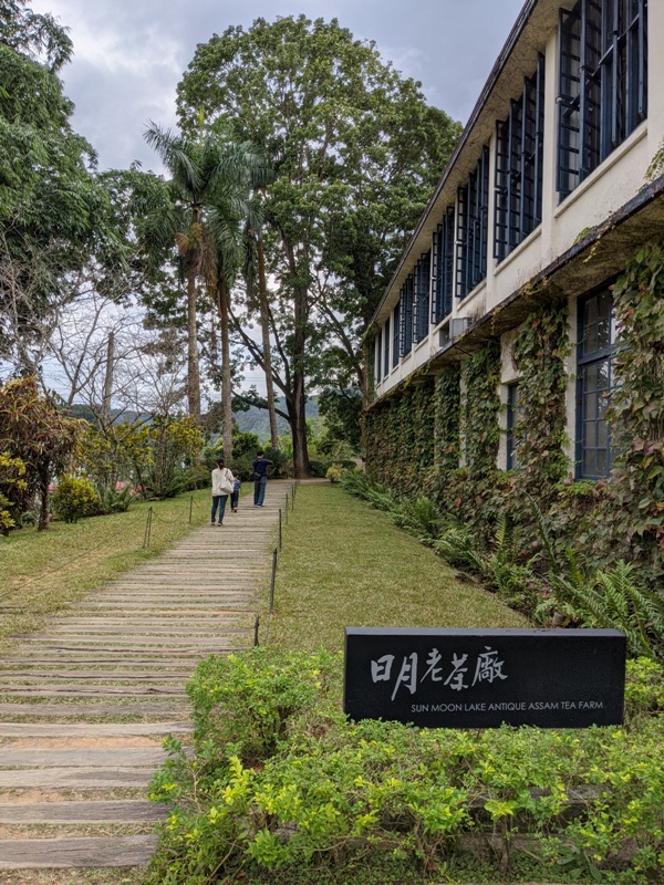 sunmoon01 魚池-日月老茶廠 週間漫遊 靜靜感受滿室茶香