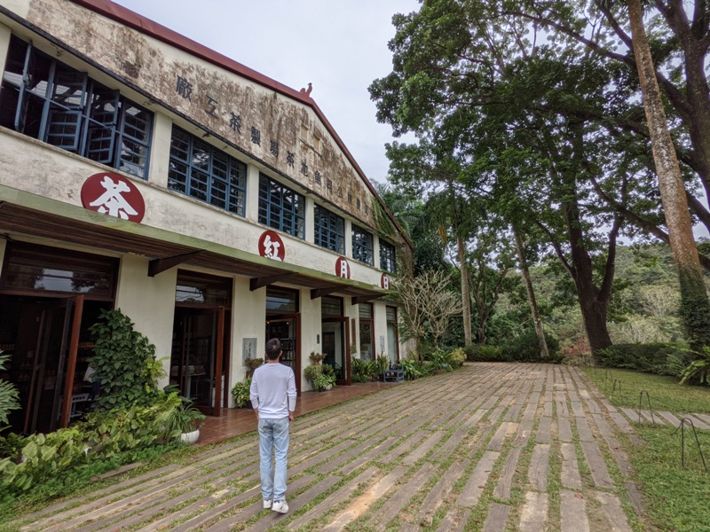 魚池-日月老茶廠 週間漫遊 靜靜感受滿室茶香