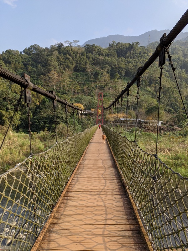 maplenorthcape05 尖石-楓北角 綠樹紅橋白屋 北角吊橋旁景觀咖啡
