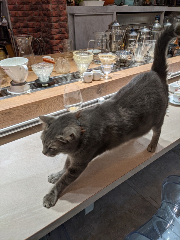 yourmind28 台中南區-黝脈咖啡 咖啡達人亮收藏 手沖咖啡喝到飽 舒服不限時