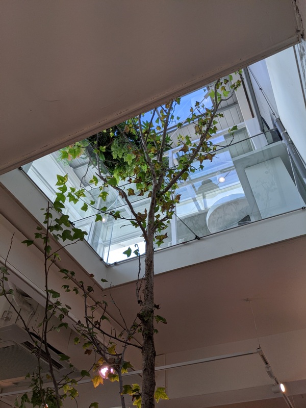 chichasanchen21 南屯-吃茶三千 茶的新概念 老宅改裝新風格