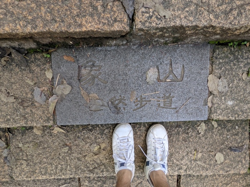 elephantmt2805 信義-象山 走春去在這樣美好的時光