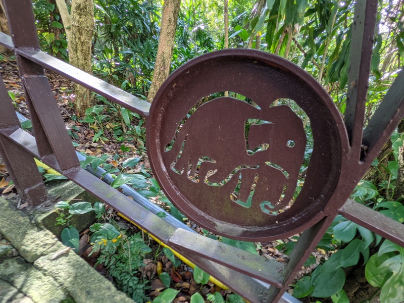 elephantmt2806 信義-象山 走春去在這樣美好的時光