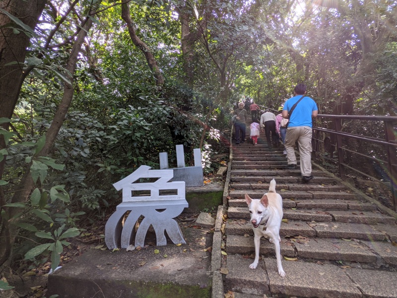 elephantmt2807 信義-象山 走春去在這樣美好的時光