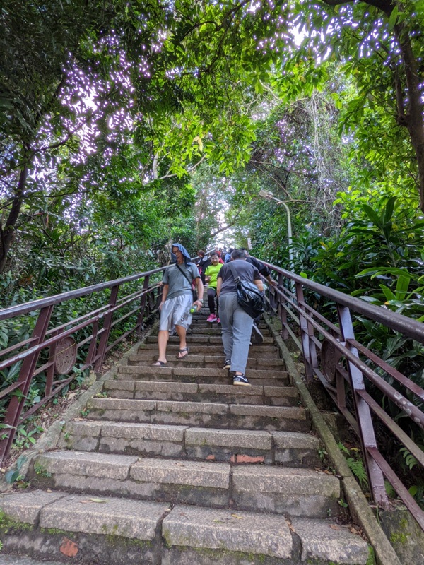 elephantmt2809 信義-象山 走春去在這樣美好的時光