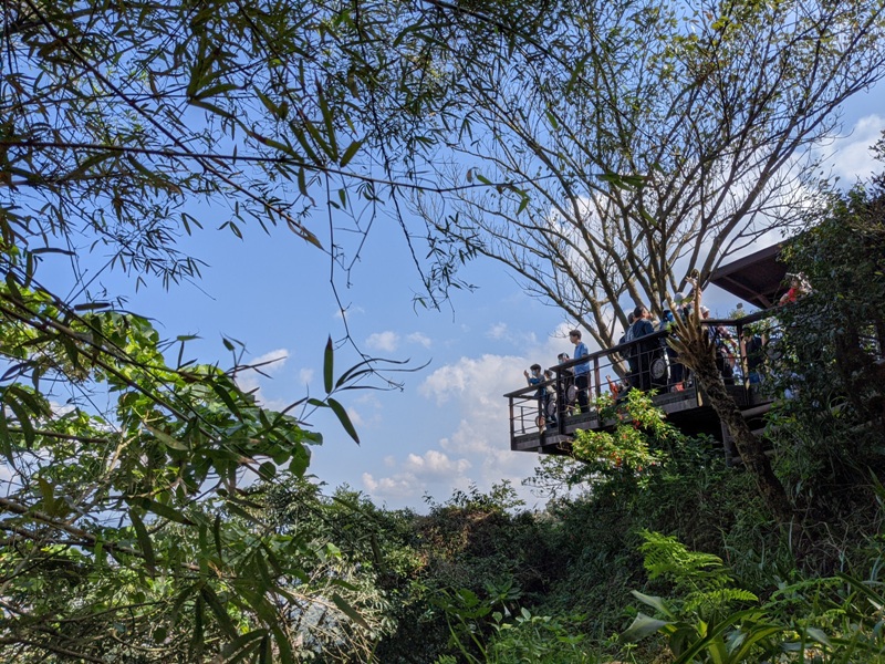 elephantmt2818 信義-象山 走春去在這樣美好的時光