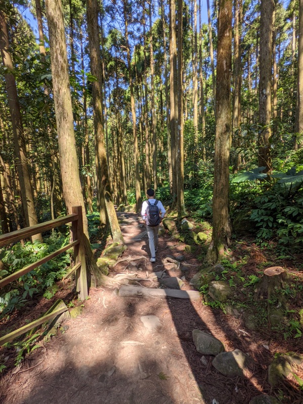 guanxi08 關西-馬武督探索森林(綠光森林) 風和日麗輕鬆走步道