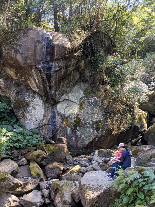 guanxi12 關西-馬武督探索森林(綠光森林) 風和日麗輕鬆走步道