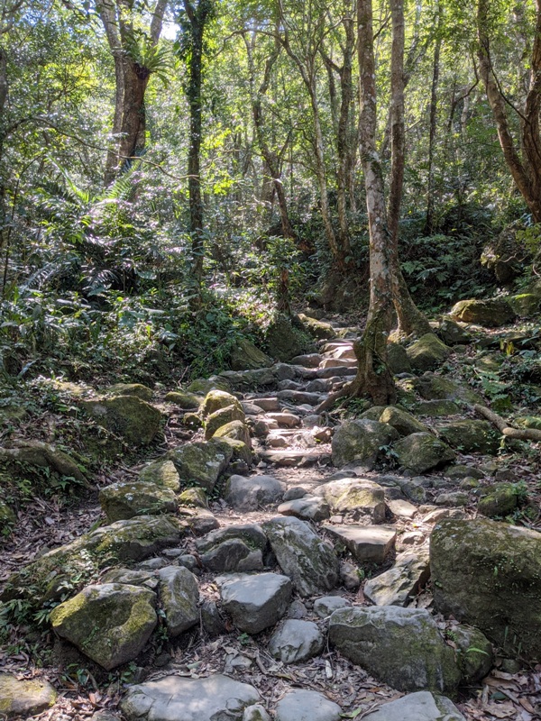 guanxi13 關西-馬武督探索森林(綠光森林) 風和日麗輕鬆走步道