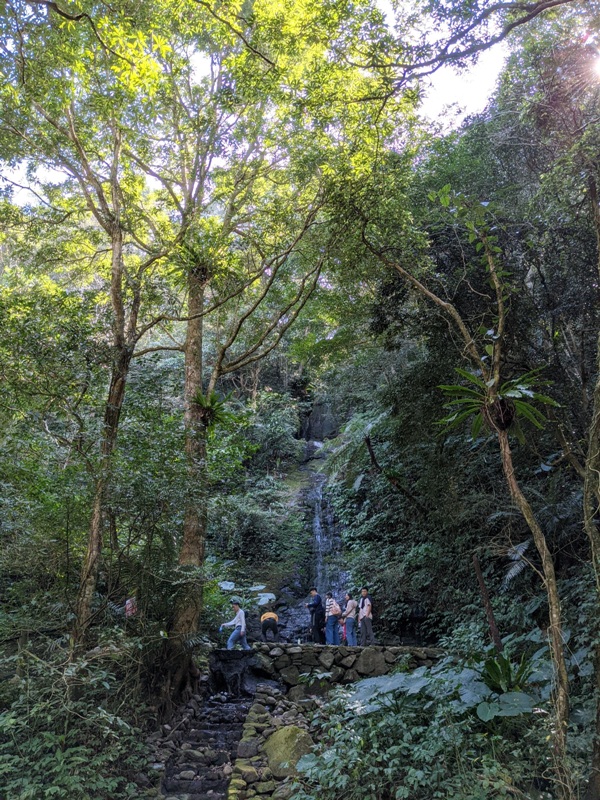 guanxi14 關西-馬武督探索森林(綠光森林) 風和日麗輕鬆走步道