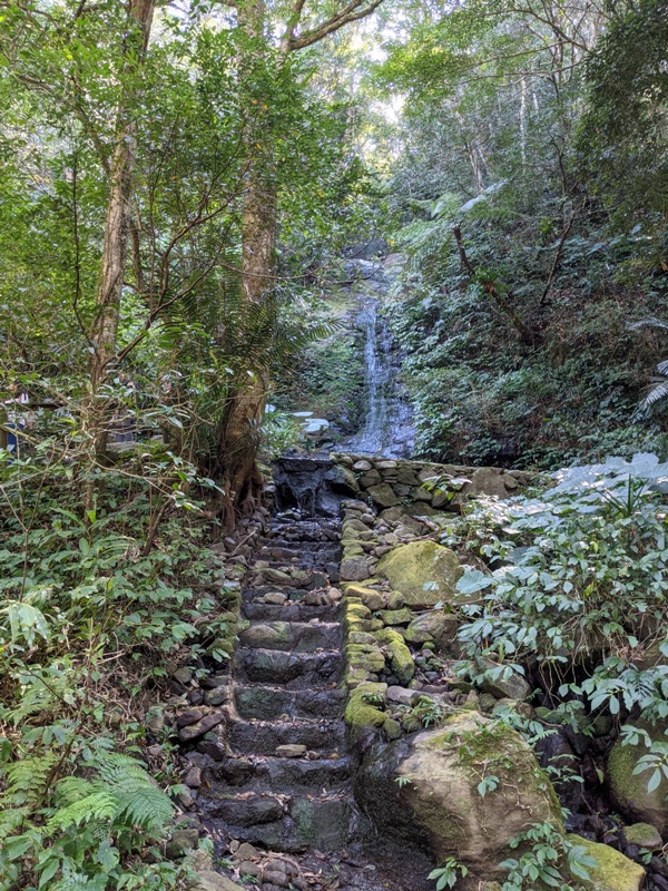 guanxi15 關西-馬武督探索森林(綠光森林) 風和日麗輕鬆走步道