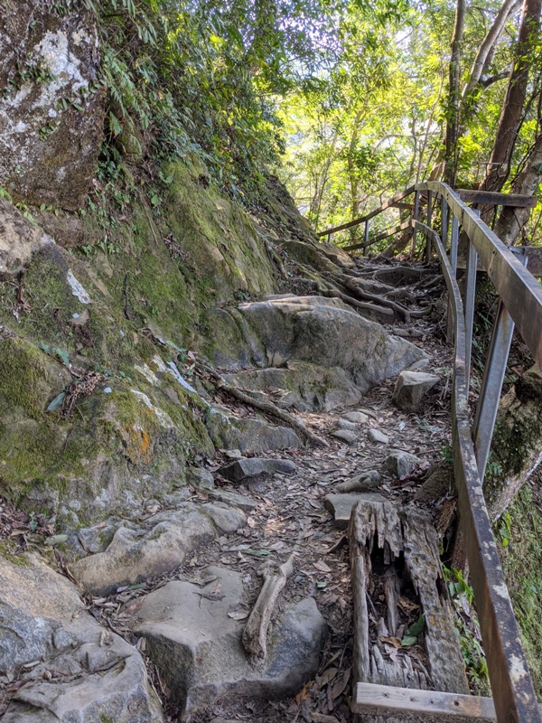 guanxi18 關西-馬武督探索森林(綠光森林) 風和日麗輕鬆走步道