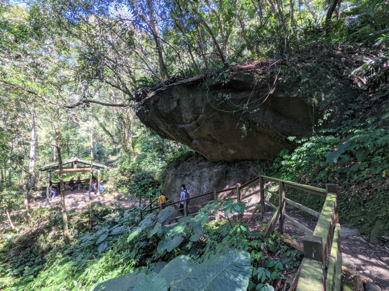 guanxi19 關西-馬武督探索森林(綠光森林) 風和日麗輕鬆走步道