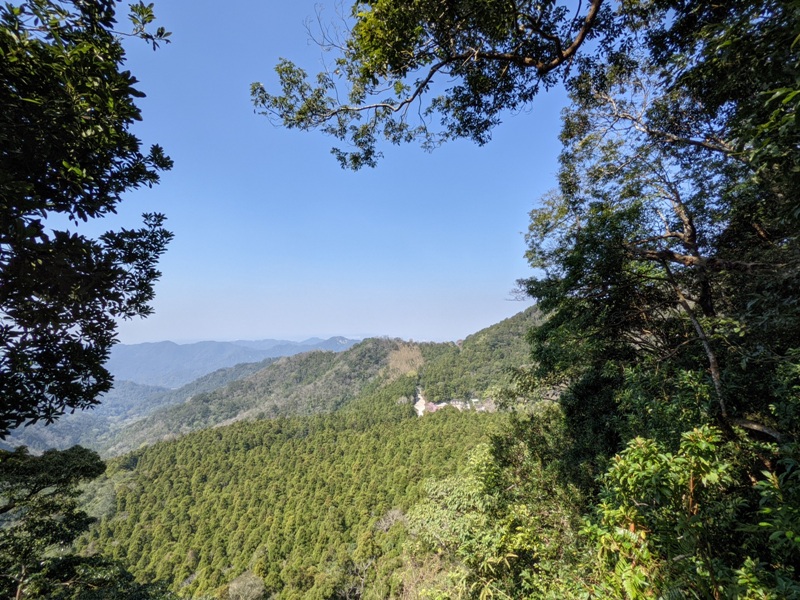 guanxi21 關西-馬武督探索森林(綠光森林) 風和日麗輕鬆走步道