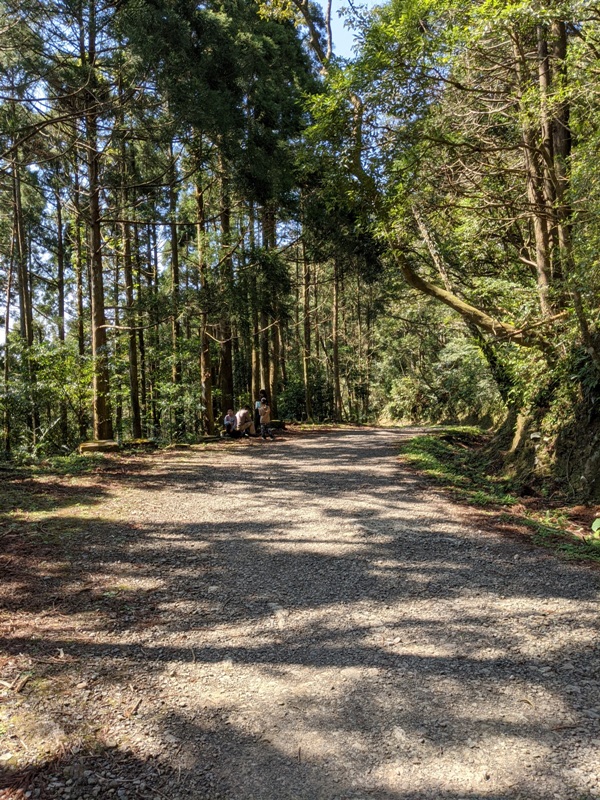 guanxi25 關西-馬武督探索森林(綠光森林) 風和日麗輕鬆走步道